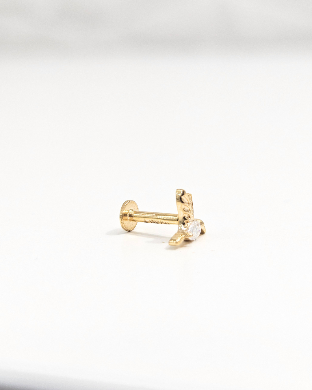 Humming Bird Helix Piercing Earrings
