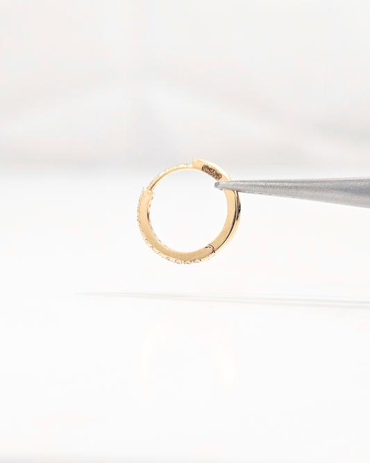 Piercing Huggies and Nosepin