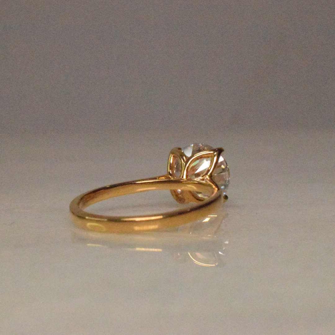 The Tulip Ring