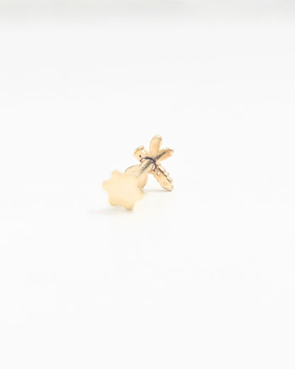 Dragonfly Piercing Earrings and nose pin