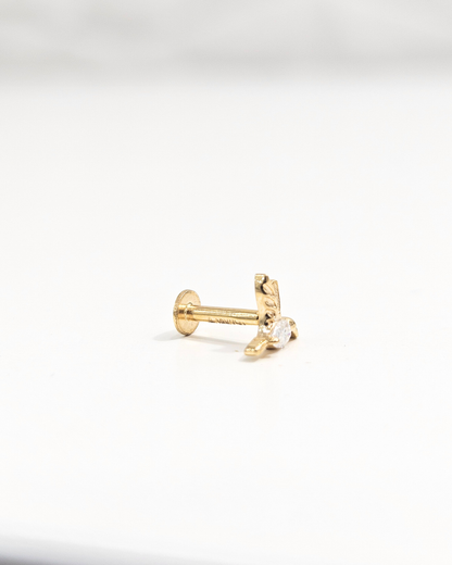 Humming Bird Helix Piercing Earrings