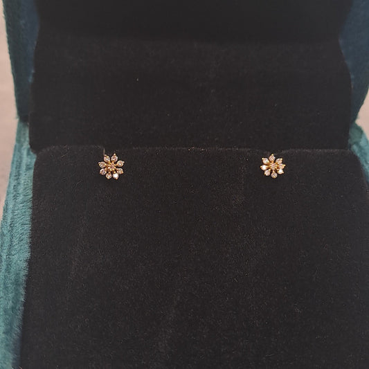 Dandelion Piercing Earrings and nosepin