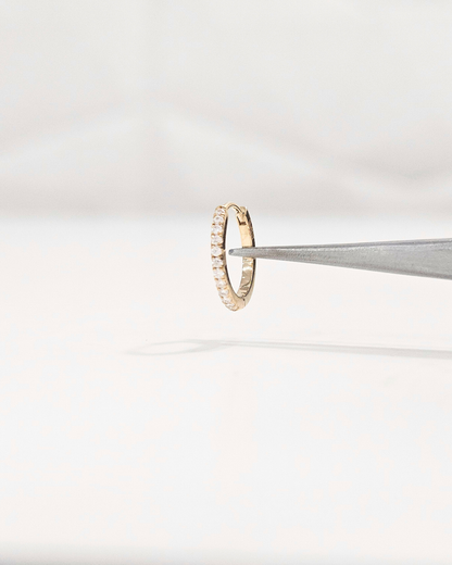 Piercing Huggies and Nosepin