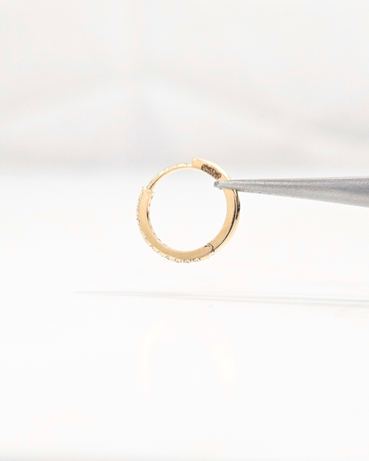 Piercing Huggies and Nosepin