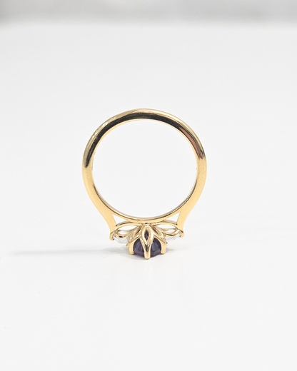 Danya Ring