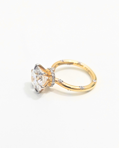 Oshin Ring