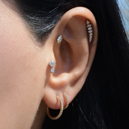 Fish Piercing Earrings