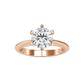 The Stella Ring  Moissanite diamond Solitaire Ring - 1.99 Ct