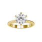 The Stella Ring Moissanite diamond Solitaire Ring - 1.99 Ct
