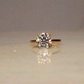 The Tulip Ring