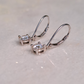Kids Round Drops Moissanite Earrings