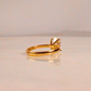 Elongated Cushion Moissanite Diamond in Gold and Silver